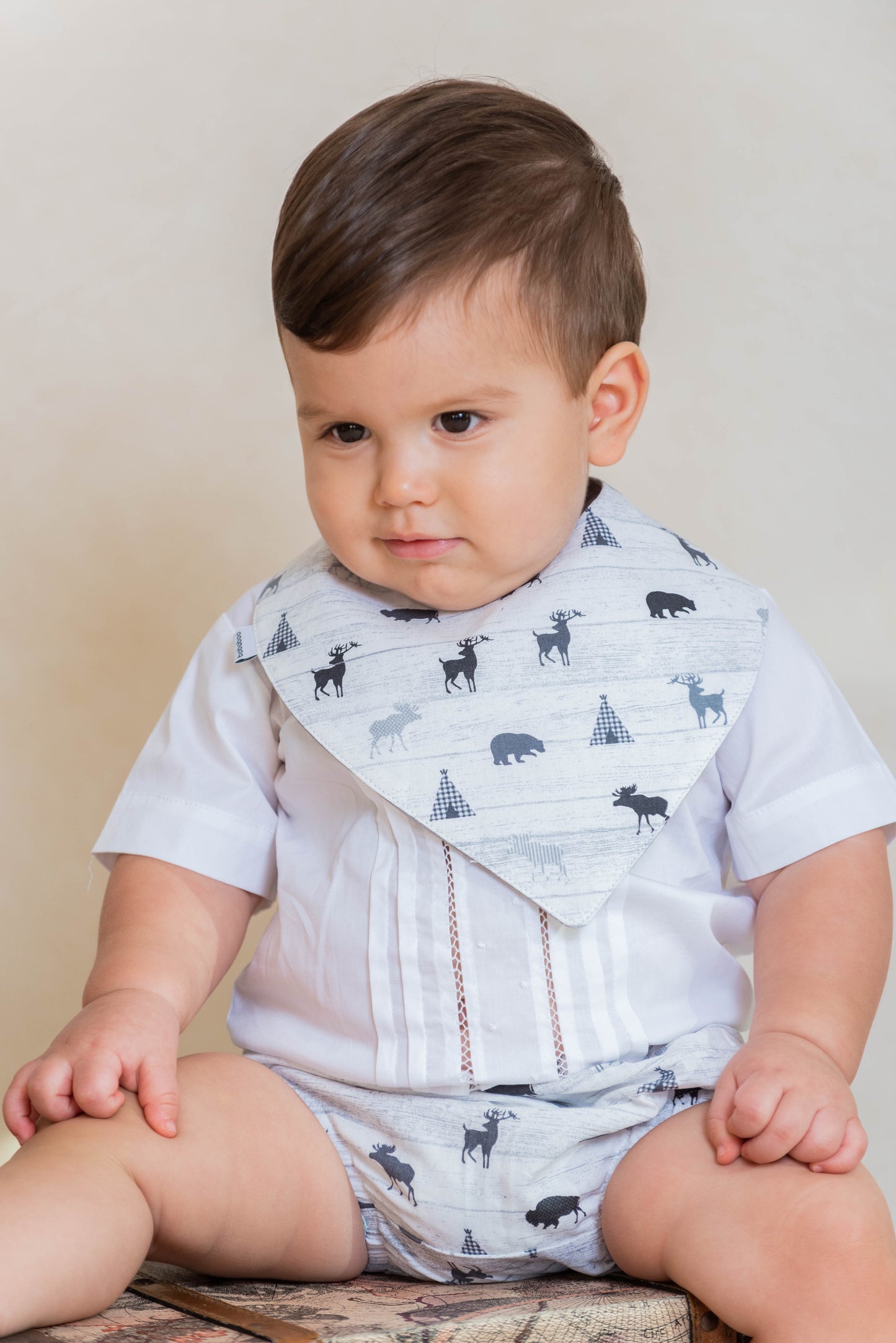 Culote Martin Venado